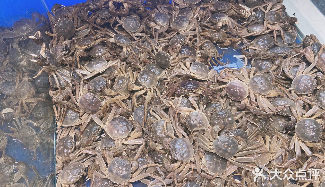 超级实惠自助吃海鲜