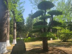 -中国农业博物馆
