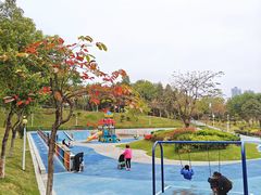 -回龙埔公园