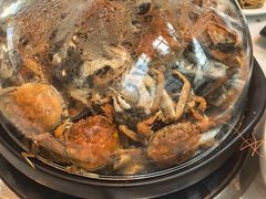 -半岛听涛蒸汽海鲜自助(K11店)
