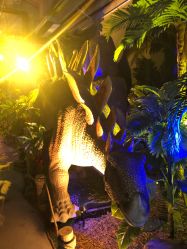 -恐龙探索乐园(磁器口店)