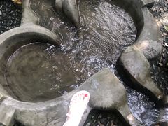 -成都市活水公园
