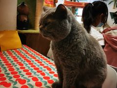 -小时光咖啡馆(北锣鼓巷店)