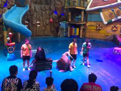 -烟台海昌鲸鲨海洋公园