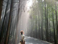 -山王坪喀斯特国家生态公园