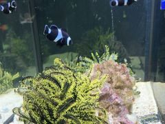 -沈阳海洋探索中心