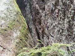 -武夷山风景名胜区-虎啸岩