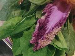 -云尊府云南菜·蒸汽石锅鱼(学清路店)