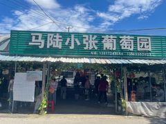 -马陆小张葡萄园农家乐