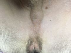 -骐奇宠物诊疗中心(南亭公路店)