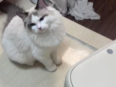 -星巴克(广州动漫星城东区店)