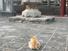 -四门塔风景区