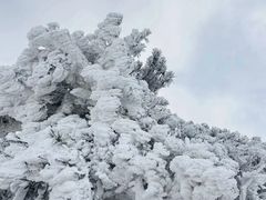 -安吉龙王山风景区