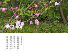 -孙武文化园-停车场