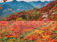 -周口店坡峰岭风景区