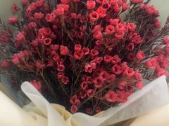 -春风十里咖啡馆