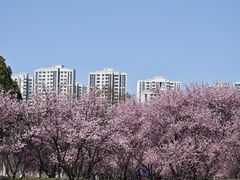 -白塘生态植物园