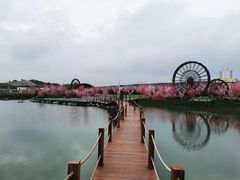 -光明小镇欢乐田园