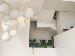 -青梅酒肆PLUS(长白仙岛北路店)