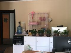 -青春加萌照相馆