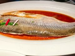 -醉庐·新上海菜(南京西路店)