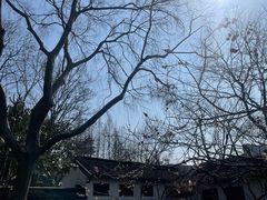 -秋霞圃