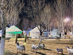 -九十九顶毡房(阜石路店)