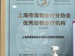 -申普宠物医院·眼科·心内科·影像科(普陀分院)