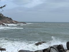 -广东惠东海龟国家级自然保护区