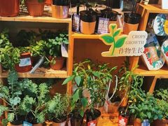 -Olé精品超市(北京合生汇店)
