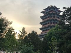 -永定河休闲森林公园