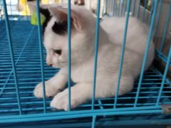 -SAH健身私教工作室(紫东店)