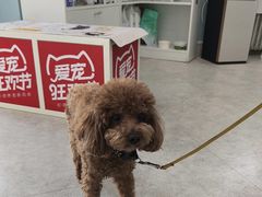 -纳吉亚猫专科动物医院·北北分院