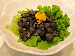 黄泥螺-绍兴饭店(大宁店)