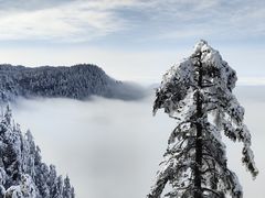 -瓦屋山景区