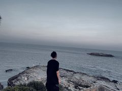 -广东惠东海龟国家级自然保护区
