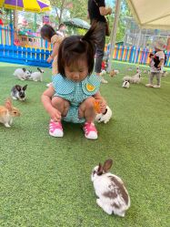 -萌宠亲子动物乐园(槐房万达店)