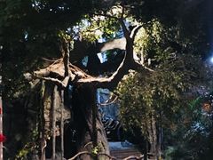 -江天生态园餐厅