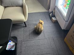 -布瑞琳洗衣(西堤红山店)