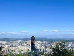 -长虫山生态公园风景林
