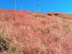 -沂蒙云瀑洞天景区