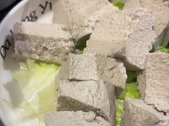 -大龙燚火锅(春熙店)