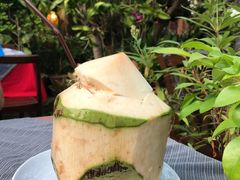 -Dash Teak House