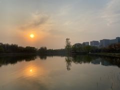 -大兴滨河森林公园