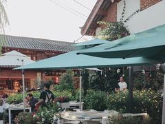 -春天里餐厅·云南创意菜特色美食(束河店)