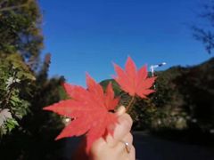 -洋湖沟