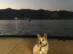 -罗源湾8号渔排