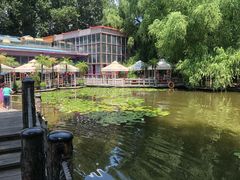 -大鹅岛绿色生态美食园