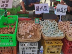 -示范集贸市场