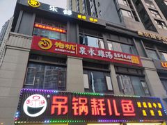 -先机®·泉水鸡汤(七星岗店)